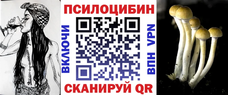 kraken онион  дарк нет клад  Галлюциногенные грибы Cubensis  Аксай 